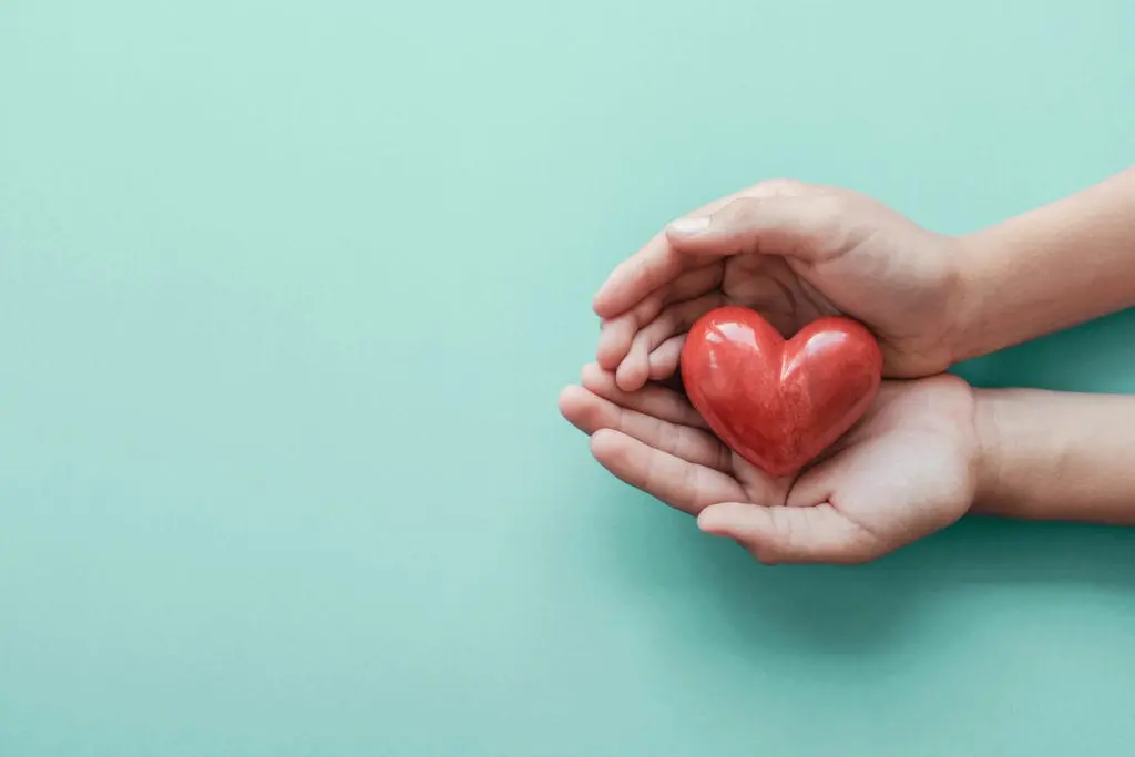 cupped hands holding a red stone heart