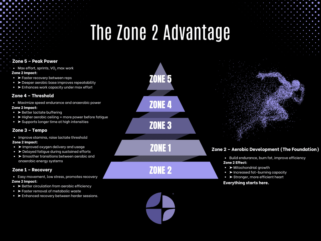 The Zone 2 Advantage